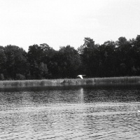 Fotografia Szczecinek