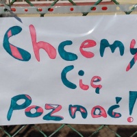 Fotografia Szczecinek