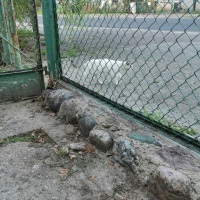 Fotografia Szczecinek