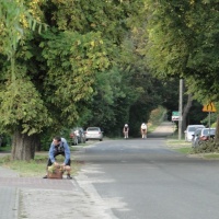 Fotografia Szczecinek