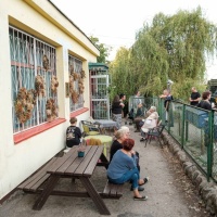 Fotografia Szczecinek